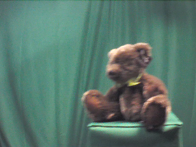 90 Degrees _ Picture 9 _ Small Dark Brown Teddy Bear.png